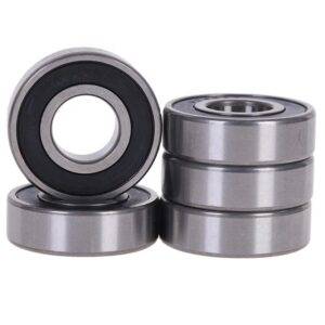 Roller Bearing Boxer 100