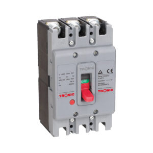 DOUBLE POLES 100AMPS